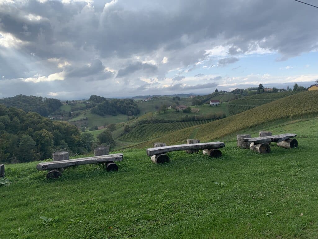 View from the Mulec winery.