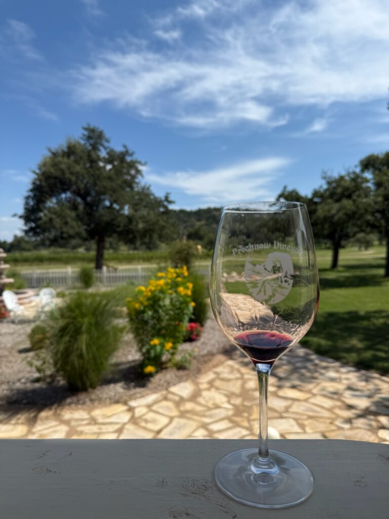 View from the Prochnow Vineyard porch.